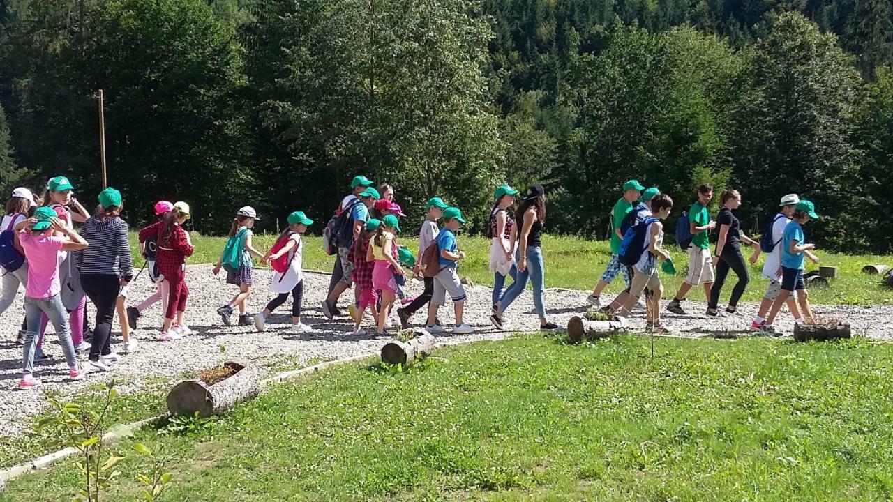 Pensiunea Poiana Soarelui Brates Zewnętrze zdjęcie