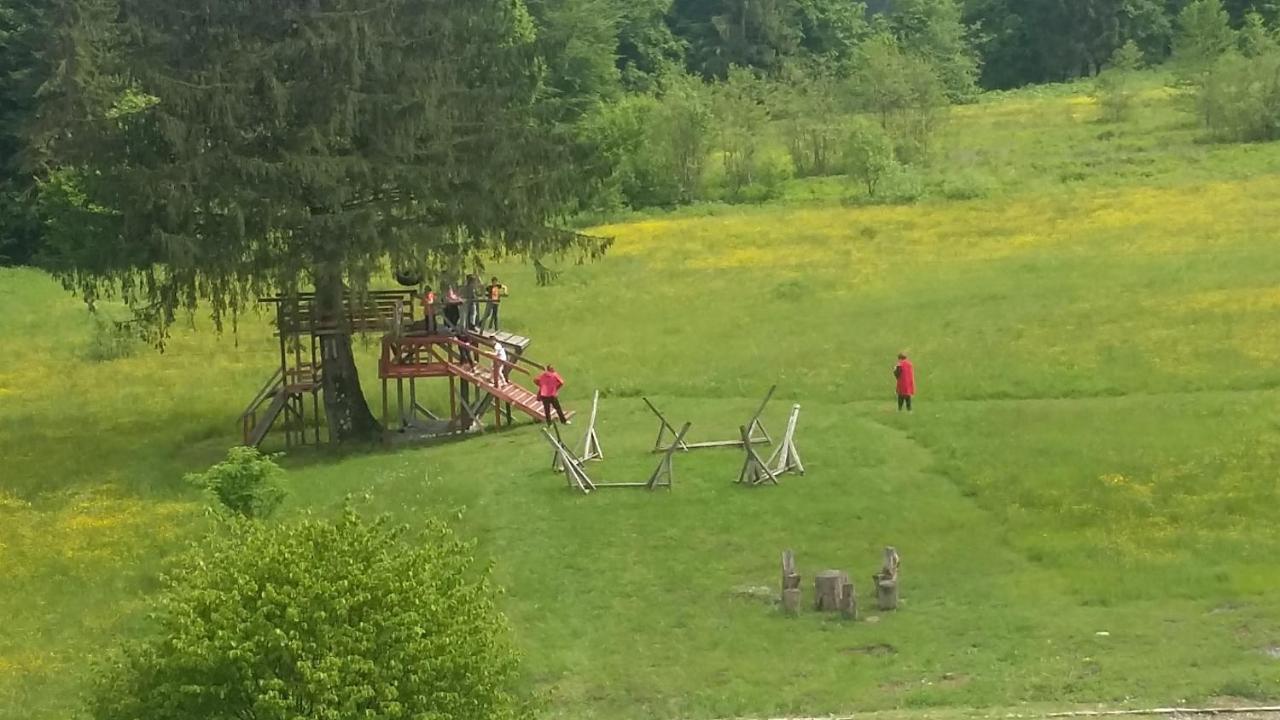 Pensiunea Poiana Soarelui Brates Zewnętrze zdjęcie